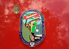 2013-badge-and-pin